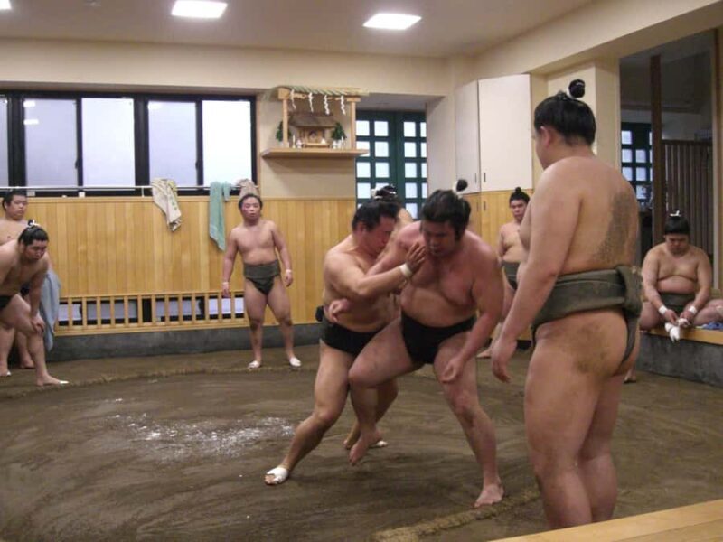 Tokyo: Sumo Morning Training Watching EXP. with Sumo Guide - Practical Details and Considerations