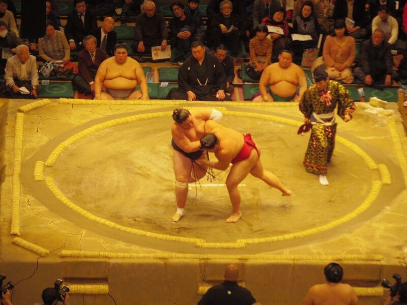 Tokyo: Sumo Tournament Tour with Chair Seat Tickets - Who Should Book This Tour?