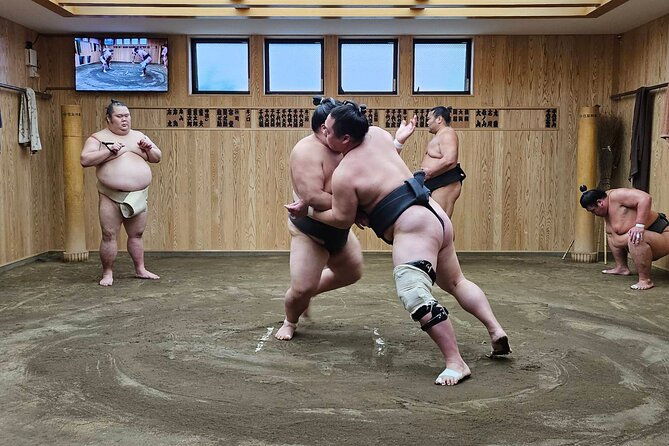 tokyo-sumo-wrestling-morning-practice-tour-with-private-transfer
