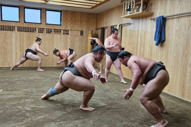 tokyo-sumo-wrestling-morning-practice-tour-with-private-transfer