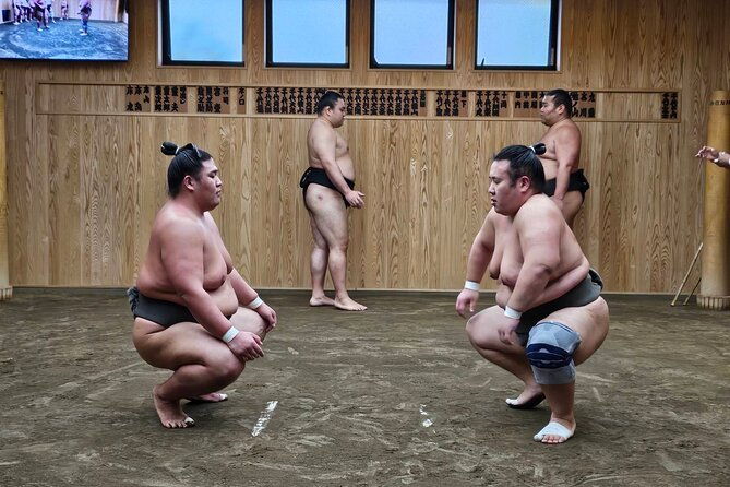tokyo-sumo-wrestling-morning-practice-tour-with-private-transfer