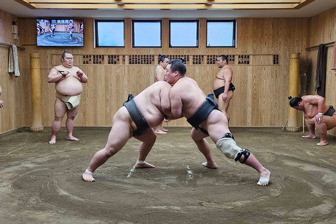 tokyo-sumo-wrestling-morning-practice-tour-with-private-transfer