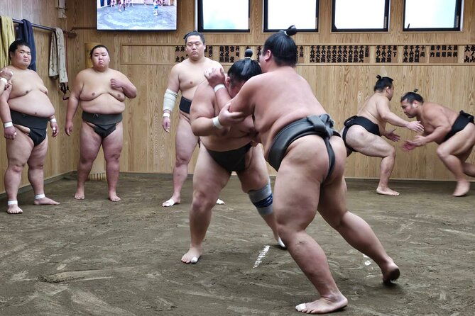 tokyo-sumo-wrestling-morning-practice-tour-with-private-transfer