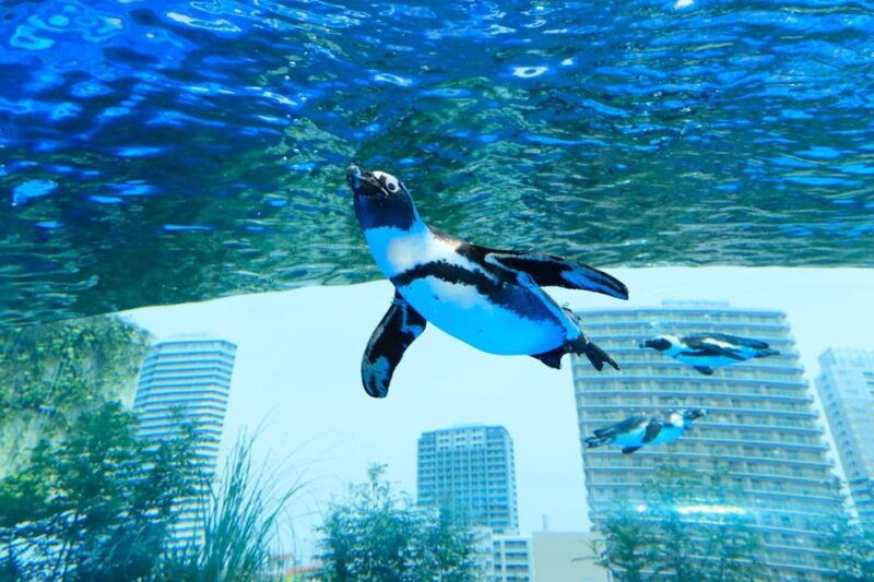 tokyo-sunshine-aquarium-entry-ticket