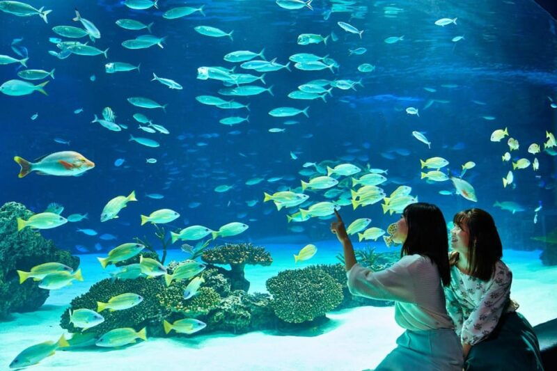 tokyo-sunshine-aquarium-entry-ticket