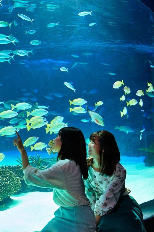 tokyo-sunshine-aquarium-entry-ticket
