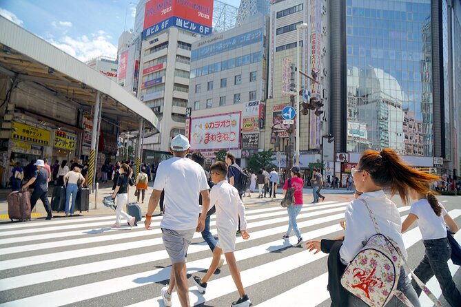 tokyo-tailored-4-hours-private-guided-tour