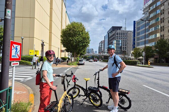 TOKYO: Tailored Gardens tour with Pro Gardener by E-bike -BASIC - Key Points