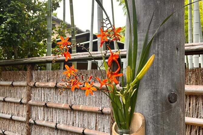 TOKYO: Tailored Gardens tour with Pro Gardener by E-bike -BASIC - Why the E-Bike Makes a Difference