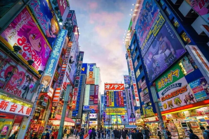 Tokyo: Tailored Shopping Escape Tour - Key Points