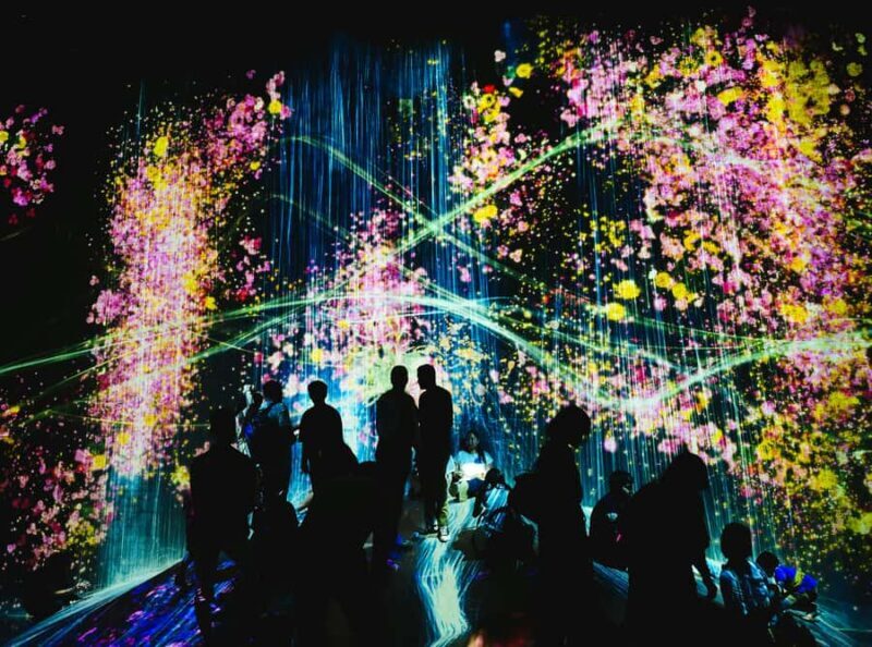 Tokyo: TeamLab Borderless & Roppongi Art Architecture Tour - Key Points