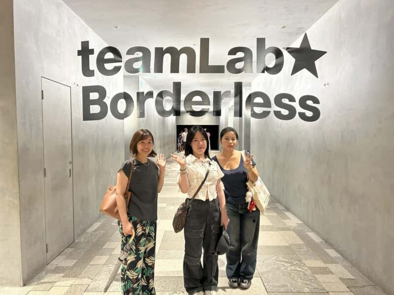 Tokyo: TeamLab Borderless & Roppongi Art Architecture Tour - Practical Info & Tips