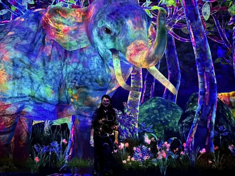 Tokyo: TeamLab Planets & Odaiba Gundam Bay Tour - Crossing into Odaiba: From Art to Futurism