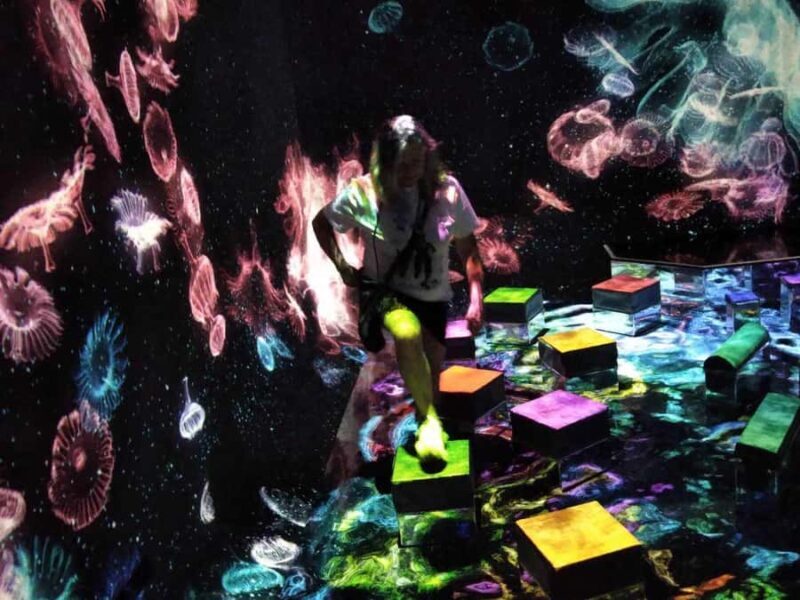 Tokyo: TeamLab Planets & Odaiba Gundam Bay Tour - Who Is This Tour Best For?