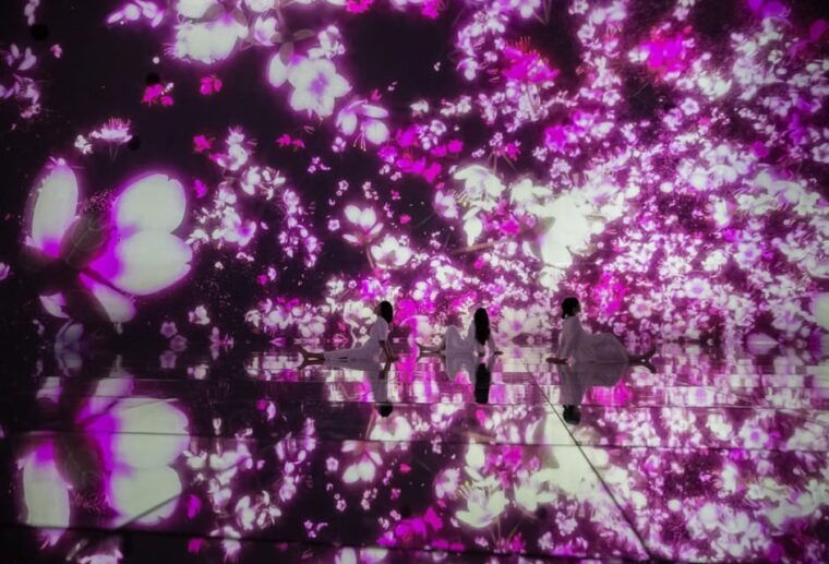 tokyo-teamlab-planets-tokyo-digital-art-museum-entry-ticket