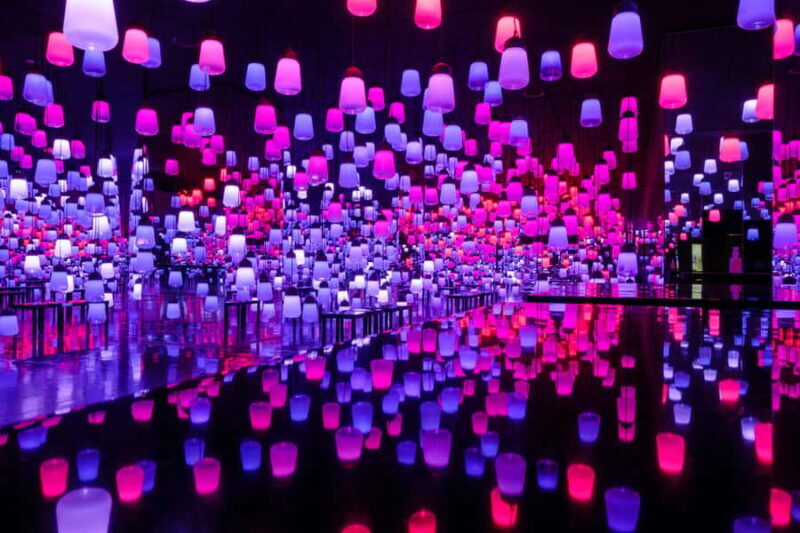 Tokyo: teamLab Planets & Toyosu Fish Market Guided Tour - Key Points