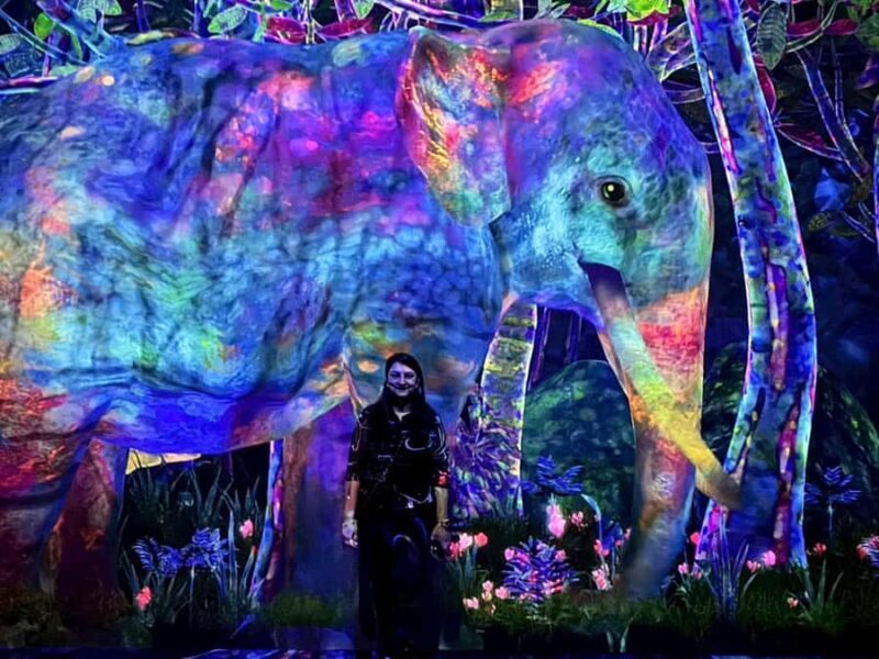 Tokyo: teamLab Planets & Toyosu Fish Market Guided Tour - Who Will Enjoy This Tour?