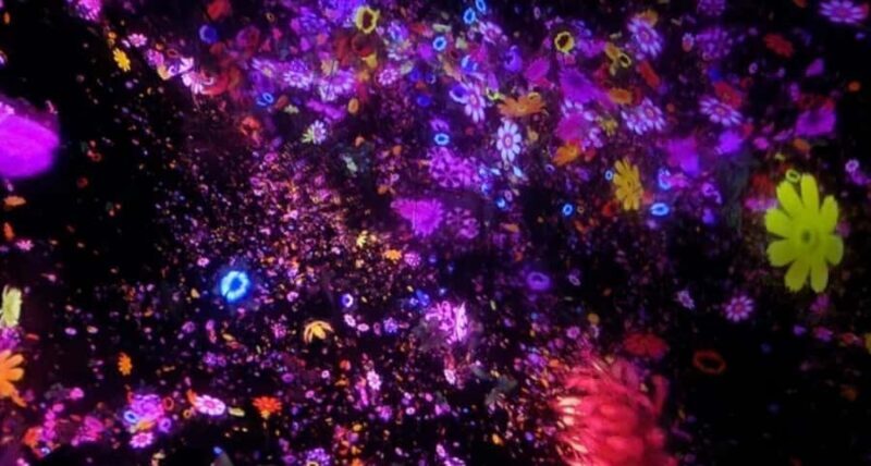 Tokyo: teamLab Planets & Toyosu Fish Market Guided Tour - FAQ