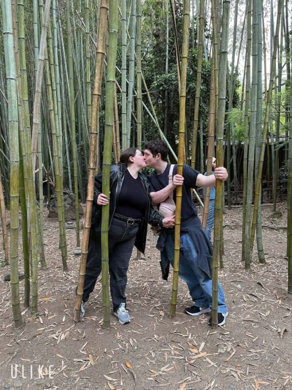 Tokyo to Kyoto Private Guided Day Trip by Bullet Train - Discovering Gion and Spotting Geishas