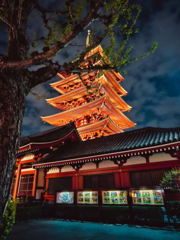 Tokyo to Mount Fuji A Full Day Private Tour From Tokyo - Who Is This Tour Best For?