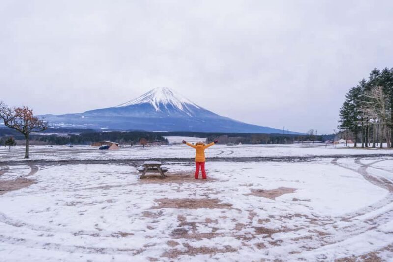 Tokyo to Mount Fuji A Full Day Private Tour From Tokyo - Final Thoughts