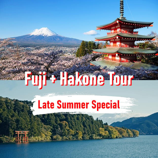 Tokyo to Mount Fuji and Hakone: Private Full-Day Tour - The Sum Up: Is This Tour Worth It?