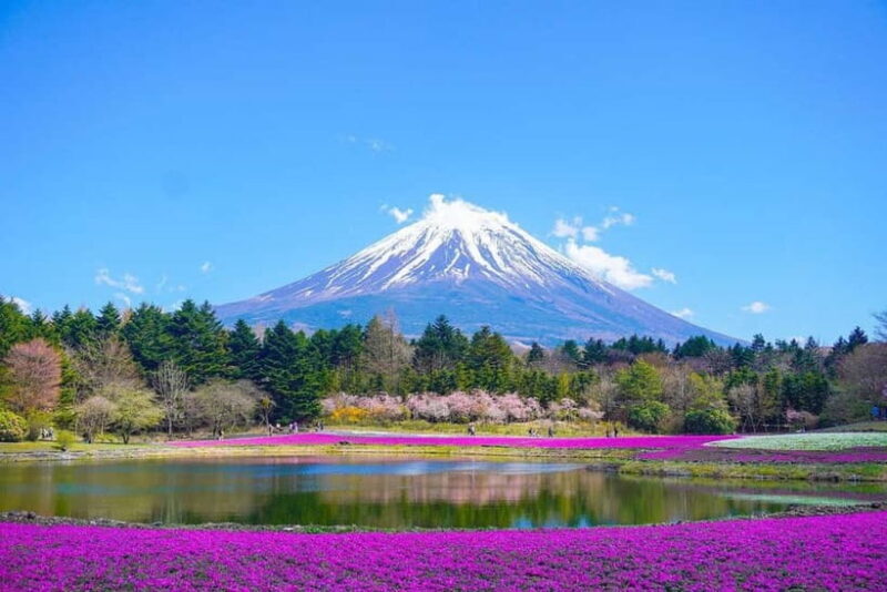 Tokyo To Mount FUJI Day Trip With English guide - Key Points