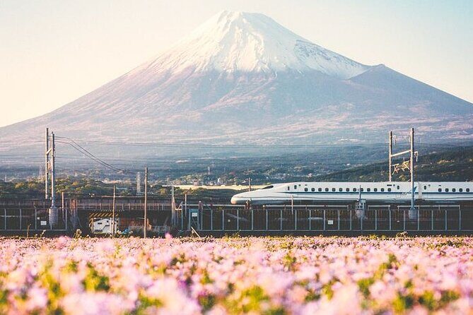 Tokyo to Mount Fuji Private Guided Experiences - Easy Start to the Day with Hotel Pickup