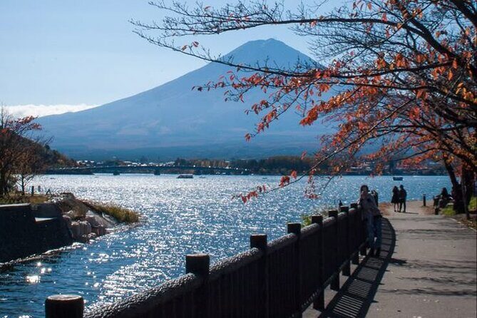 Tokyo to Mount Fuji Private Guided Experiences - Your Guide: Knowledgeable and Personable