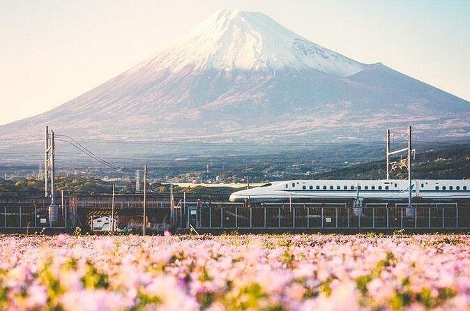 Tokyo to Mount Fuji Private Guided Experiences - Cultural and Authentic Experiences