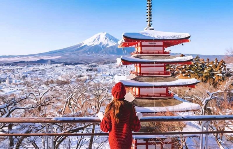Tokyo To Mt.Fuji Day Trip With 6 Must-visit Scenic Spots - Who Should Consider This Tour?