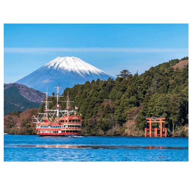 Tokyo to Mt. Fuji & Hakone: Private Customizable Day Trip - Key Points