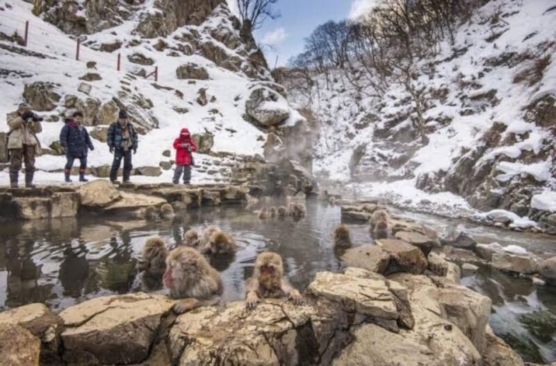 Tokyo To Nagano (Snow Monkey Zenkoji Temple Private Tour) - What’s Included and What’s Not