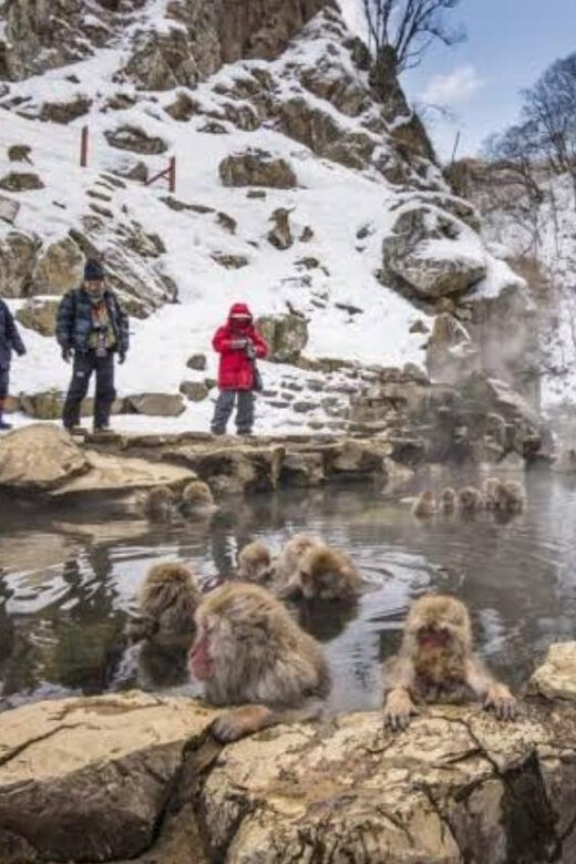 Tokyo To Nagano (Snow Monkey Zenkoji Temple Private Tour) - FAQ about the Tokyo to Nagano Private Tour