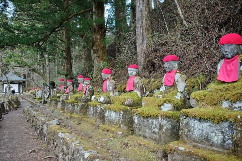 Tokyo to Nikko: Day Trip Custom Day Tour - Why This Tour Is a Great Choice