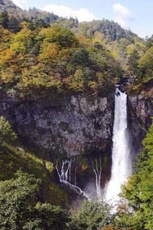 Tokyo to Nikko Private tour - What’s Included and What’s Not