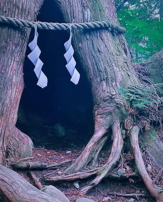 Tokyo: Togakushi Sacred Trail Day Tour with Shinkansen - Key Points