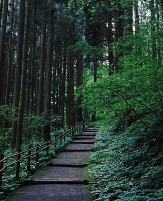 Tokyo: Togakushi Sacred Trail Day Tour with Shinkansen - Exploring Togakushi’s Sacred Shrines