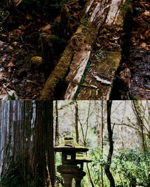 Tokyo: Togakushi Sacred Trail Day Tour with Shinkansen - FAQ