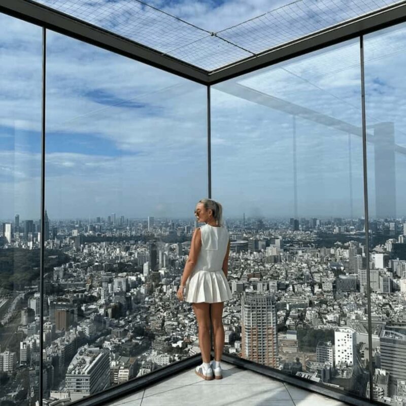 Tokyo: Tokyo City Private Tour with English Speaking Driver - Key Points