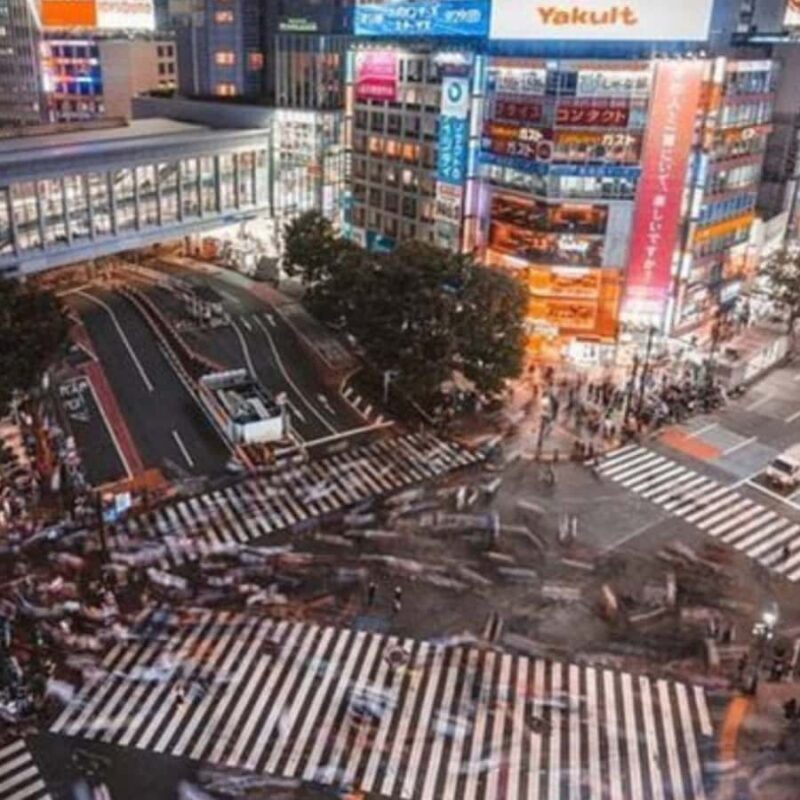 Tokyo: Tokyo City Private Tour with English Speaking Driver - Who Will Love This Tour?