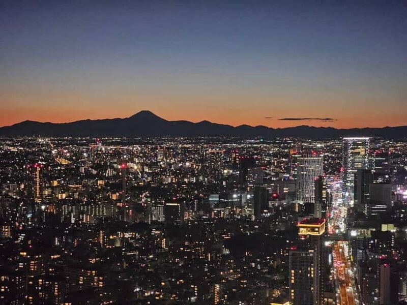 Tokyo: Tokyo Highlights Day Tour with Private Hotel Pickup - Who Will Benefit Most?