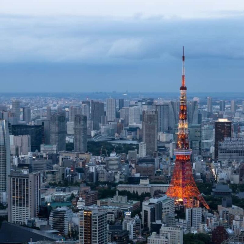 Tokyo: Tokyo Private City Tour With English Speaking Guide - Breaking Down the Cost-Value Equation