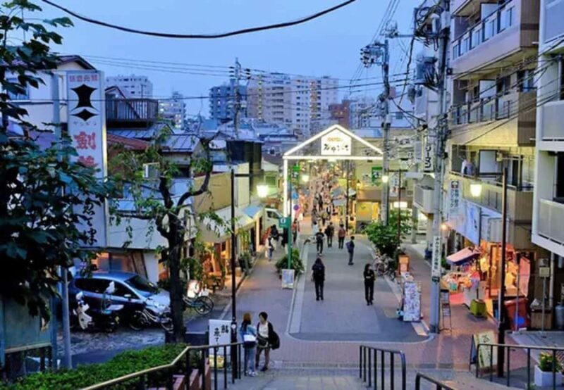 Tokyo: Tokyo Private Day Tour with English Speaking Guide - Final Thoughts