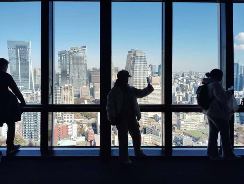 Tokyo: Tokyo Tower Guided Tour - Top Deck Views - Who Should Book This Tour?