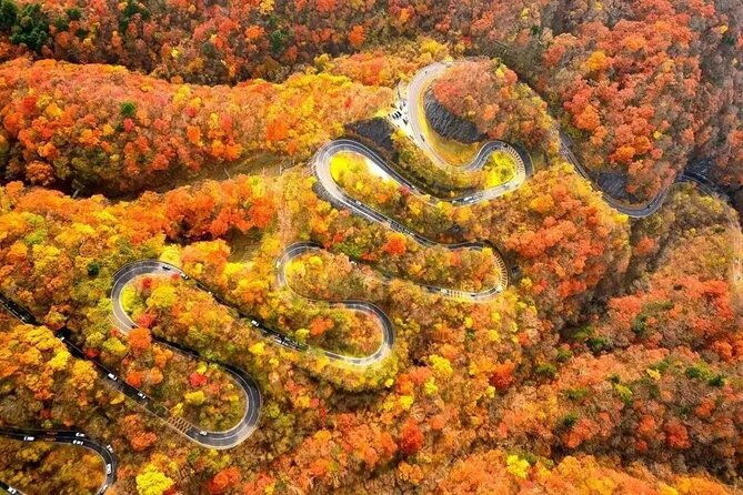 tokyo-toshogu-shrine-nikko-toshogu-lake-chuzenji-kegon-falls