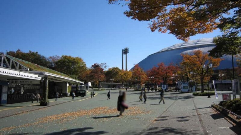 Tokyo: Totoro Forest Hiking Tour in Sayama Hills - Introduction: A Magical Green Escape Near Tokyo