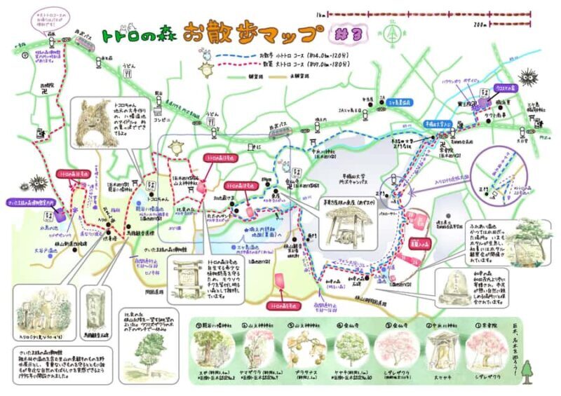 Tokyo: Totoro Forest Hiking Tour in Sayama Hills - Practical Details: What to Expect and How to Prepare