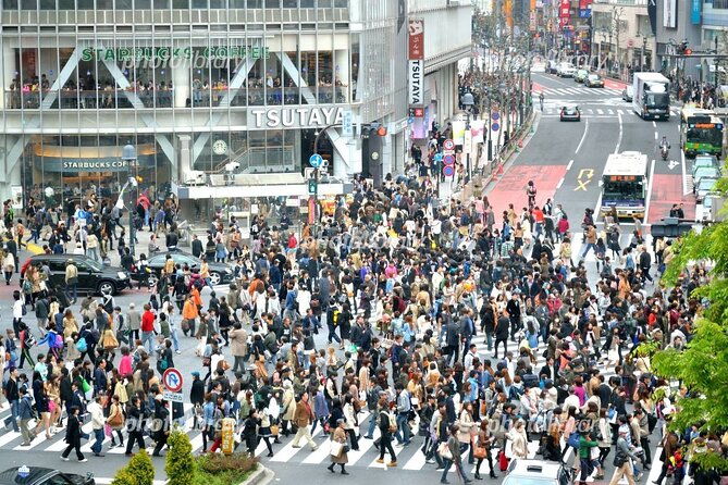 tokyo-tour-from-to-tokyoyokohama-tdr-narita-2-12-guests