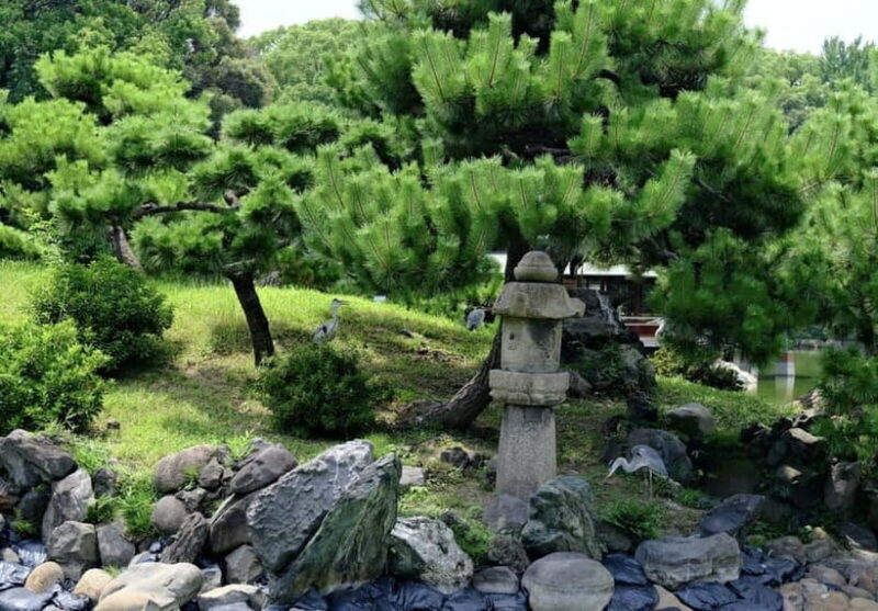 Tokyo Tour: Imperial Palace, Sake, Robots, Gardens & Museum - Key Points